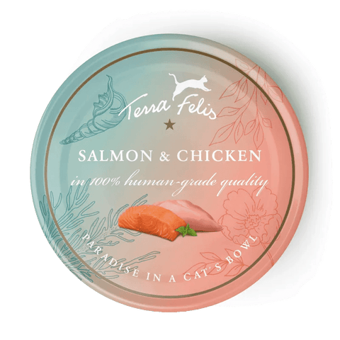 TERRA FELIS Adult Cat Salmon and Chicken 80g - Pets Villa