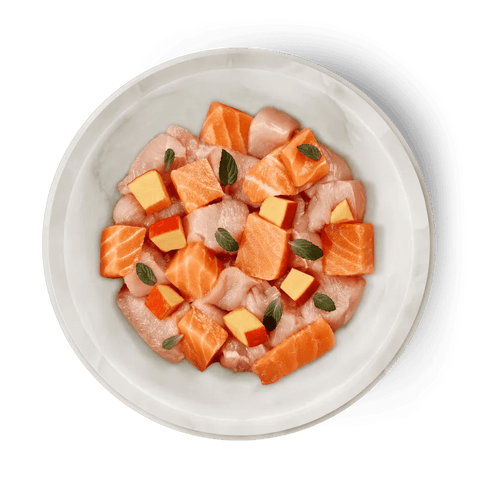 TERRA FELIS Adult Cat Salmon and Chicken 80g - Pets Villa