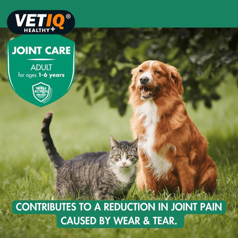 VETIQ Joint Care Tablets for Adult Cats and Dogs - Pets Villa