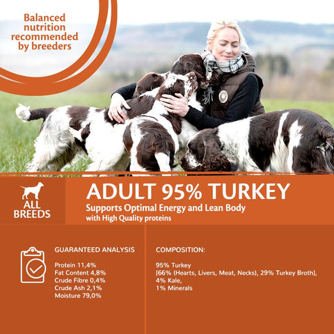 WELLNESS CORE 95% Single Protein, Turkey with Kale 400g - Pets Villa