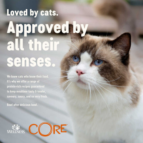 WELLNESS CORE Cat Tender Cuts with Chicken and Chicken Liver in Savoury Gravy 85g - Pets Villa