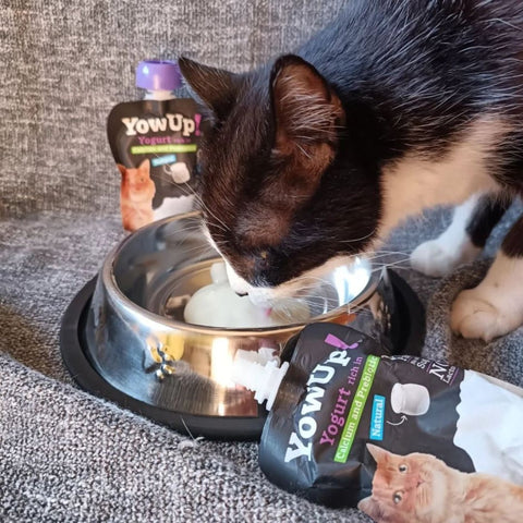 YOWUP! Cat Yogurt with Prebiotics 85g - Pets Villa