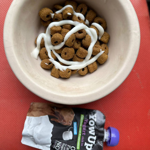 YOWUP! Dog Yogurt with Prebiotics 115g - Pets Villa