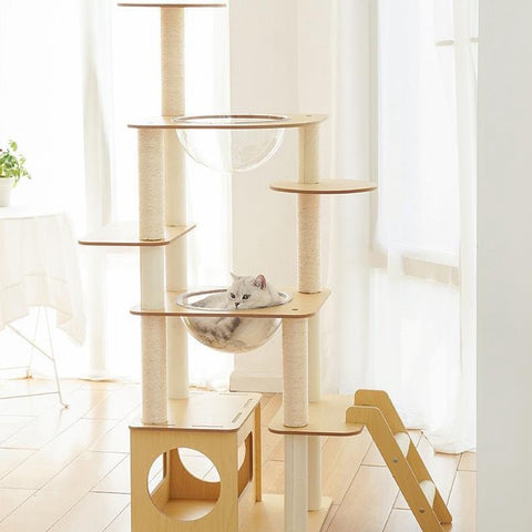 ZEZE Basic Minimalism Cat Frame - Pets Villa