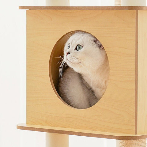 ZEZE Basic Minimalism Cat Frame - Pets Villa