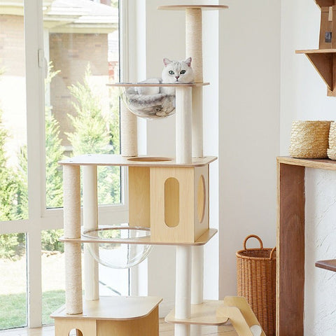 ZEZE Basic Minimalism Cat Frame - Pets Villa