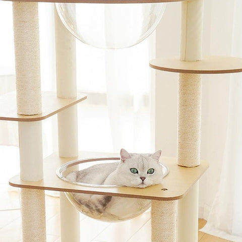 ZEZE Basic Minimalism Cat Frame - Pets Villa
