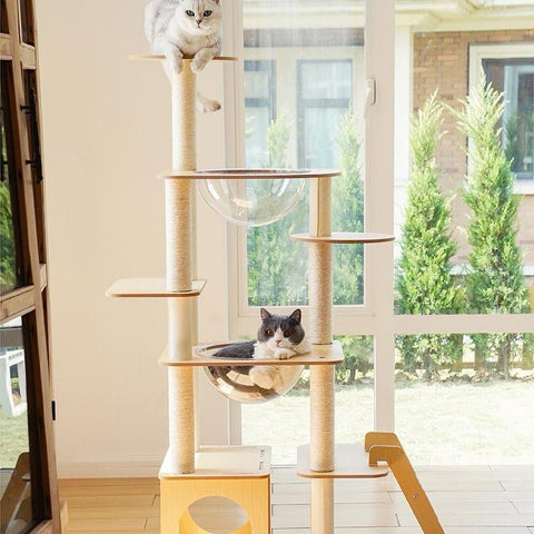 ZEZE Basic Minimalism Cat Frame - Pets Villa