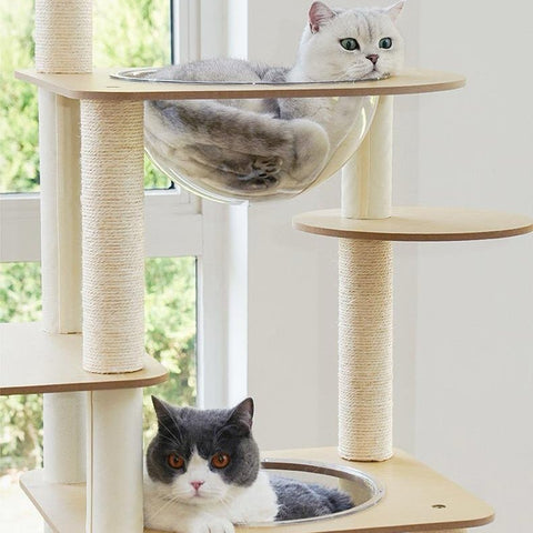 ZEZE Basic Minimalism Cat Frame - Pets Villa