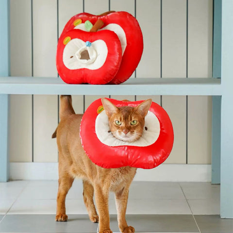ZEZE Care Apple Pet Cone - Pets Villa