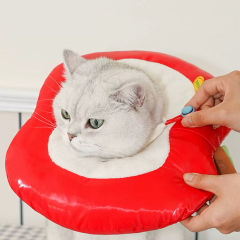ZEZE Care Apple Pet Cone - Pets Villa