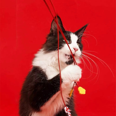 ZEZE Christmas Snowman Cat Wand - Pets Villa
