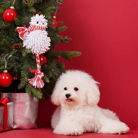 ZEZE Christmas Snowman Dog Rope - Pets Villa
