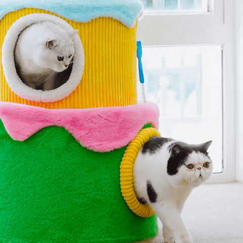 ZEZE Festival Cream Cake Cat Frame - Pets Villa