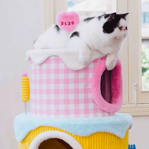 ZEZE Festival Cream Cake Cat Frame - Pets Villa