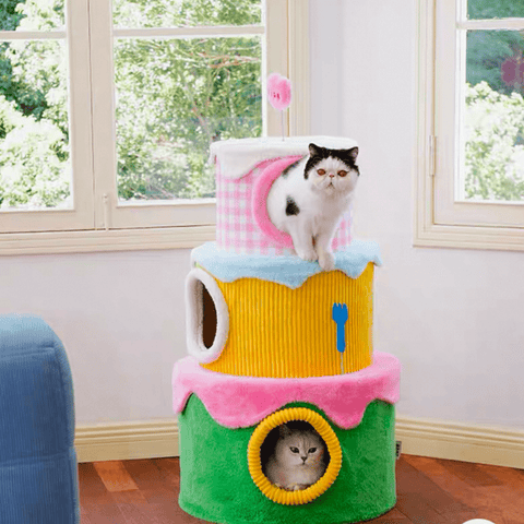 ZEZE Festival Cream Cake Cat Frame - Pets Villa