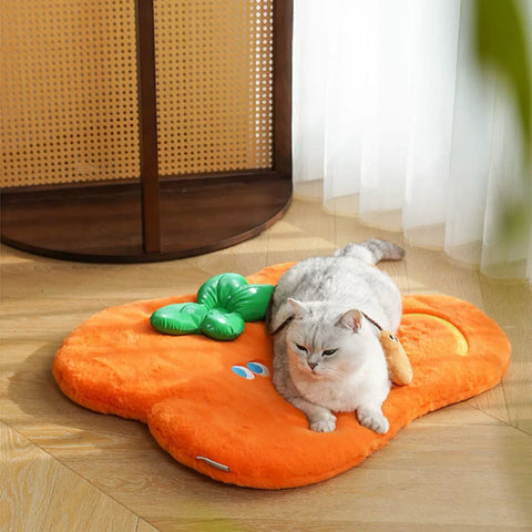 ZEZE Festival Lucky Persimmon Mat - Pets Villa