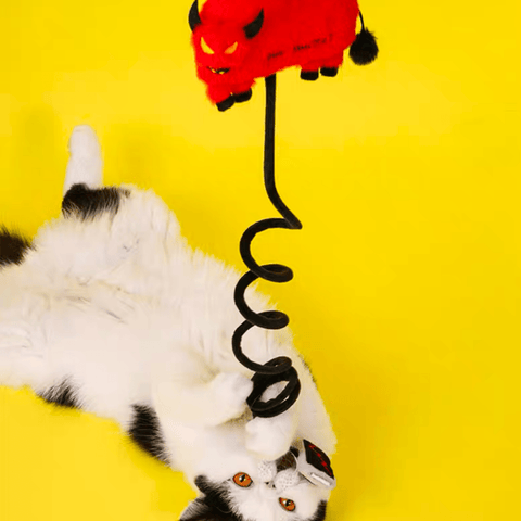 ZEZE Funny Bull Market String Cat Toy - Pets Villa