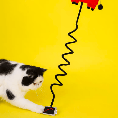 ZEZE Funny Bull Market String Cat Toy - Pets Villa