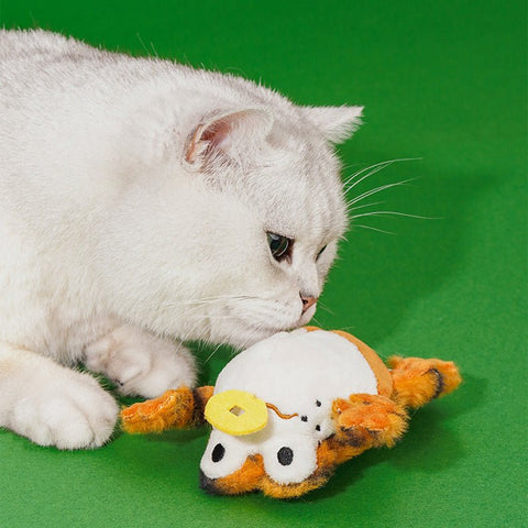 ZEZE Funny Frog Sound Toy - Pets Villa