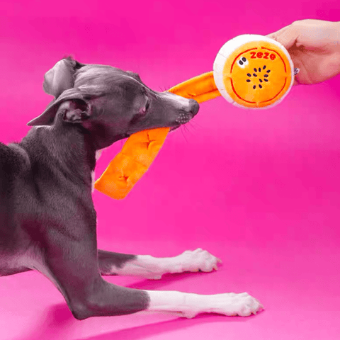 ZEZE Funny Mooncake Pet Toy - Pets Villa