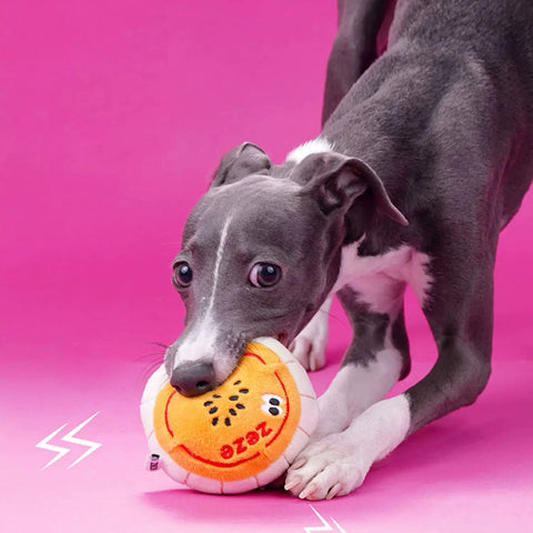ZEZE Funny Mooncake Pet Toy - Pets Villa