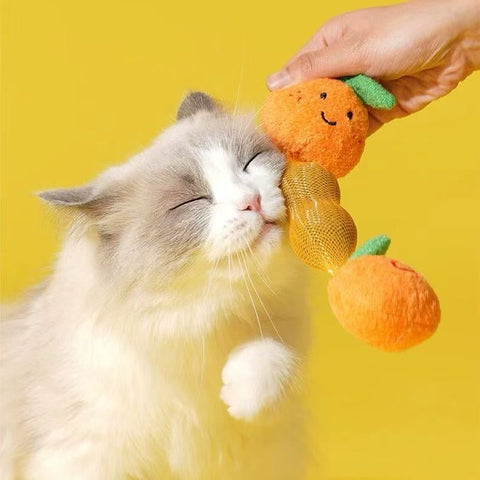 ZEZE Lucky Orange Cat Catnip Toy - Pets Villa