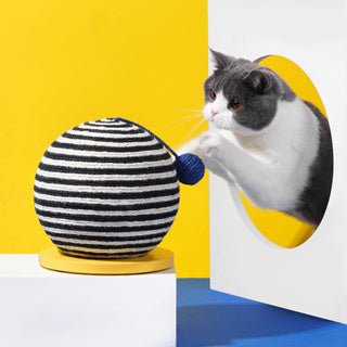 ZEZE Memphis Scratch Ball - Pets Villa