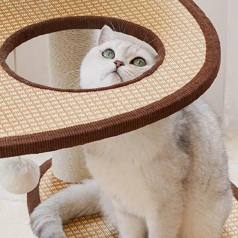 ZEZE Rattan Cat Frame - Pets Villa