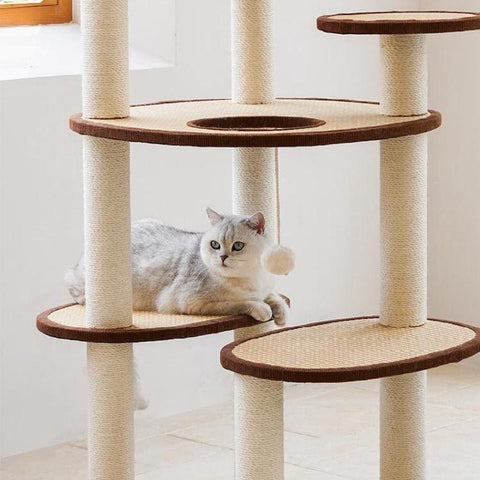 ZEZE Rattan Cat Frame - Pets Villa