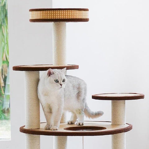 ZEZE Rattan Cat Frame - Pets Villa