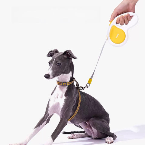 ZEZE Retractable Pet Lead 3M - Pets Villa