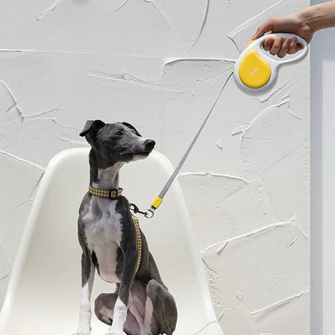 ZEZE Retractable Pet Lead 3M - Pets Villa