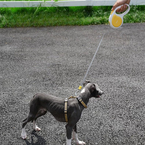 ZEZE Retractable Pet Lead 3M - Pets Villa