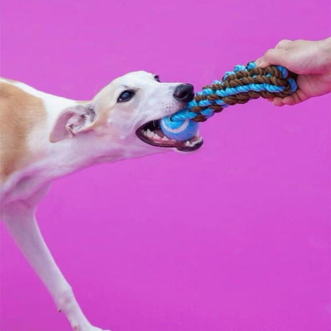 ZEZE Tennis Ball with Sturdy Rope - Pets Villa