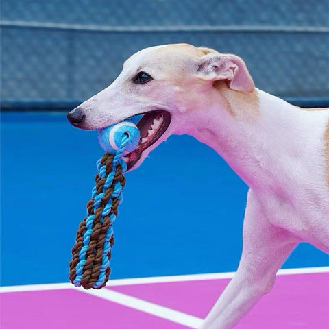 ZEZE Tennis Ball with Sturdy Rope - Pets Villa