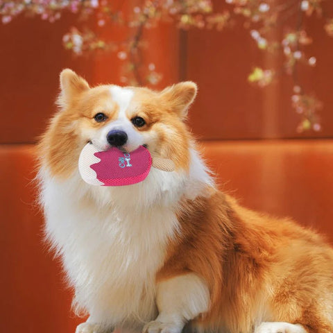 Dog chew toy shaped like pink strawberry popsicle