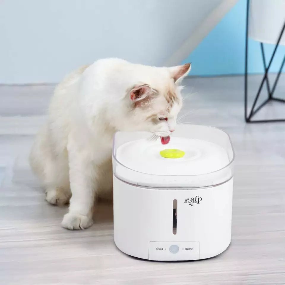 Large capacity sale pet water fountain