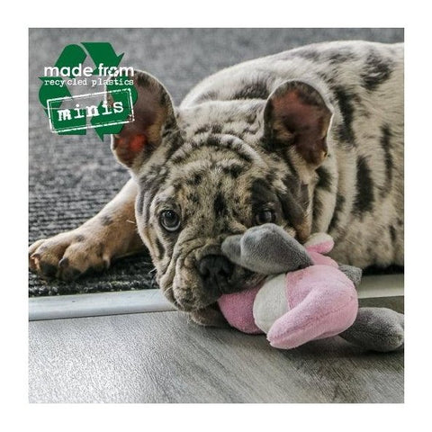 Six-piece Ancol Made From eco squeaky comfort dog toys, recycled materials, 13cm each
