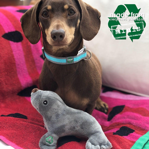 Ancol Made From Recycled Squeaky Comfort Toy – 13cm, 6 Eco-Friendly Designs