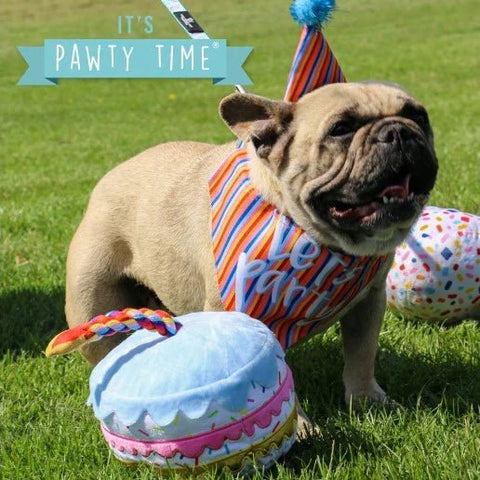 ANCOL Pawty Sprinkle Cake Dog Toy – Birthday plush toy with squeaker and textures, 11cm x 20cm