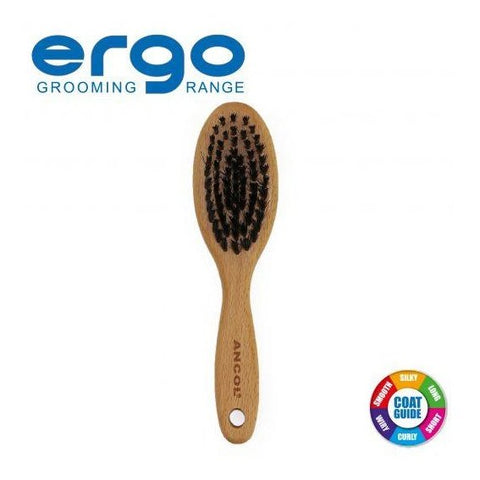 ANCOL Wood Handle Soft Bristle Brush - Pets Villa