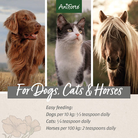 ANIFORTE Linseed Oil 1L | PetsVilla UK
