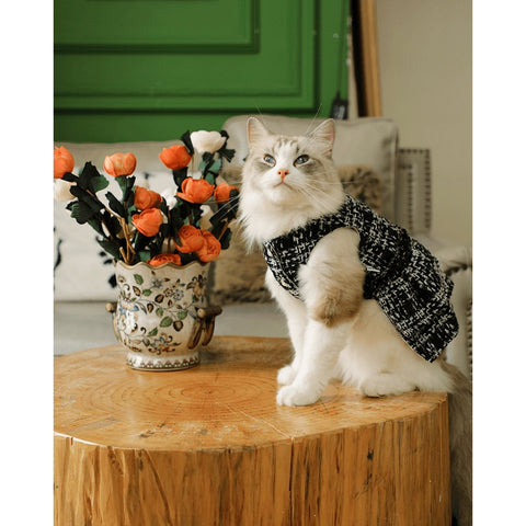 ARKIKA Dress French Style - Pets Villa