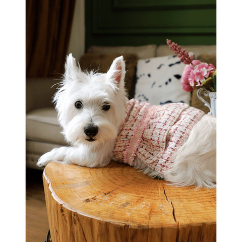 ARKIKA Dress French Style - Pets Villa