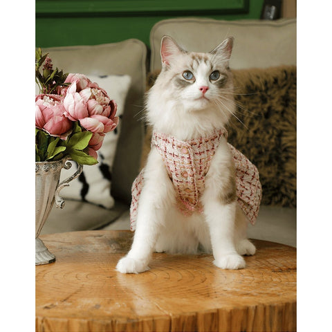 ARKIKA Dress French Style - Pets Villa
