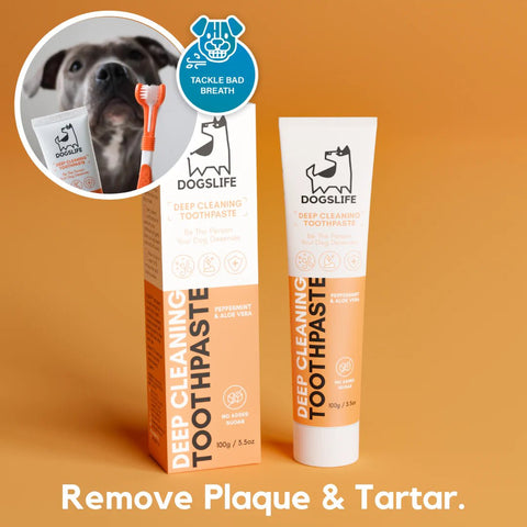 DOGSLIFE Deep Cleaning Toothpaste 100g - Pets Villa