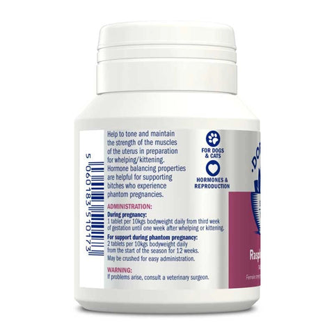 DORWEST Raspberry Leaf Tablets For Dogs And Cats - 100 Tablets - Pets Villa