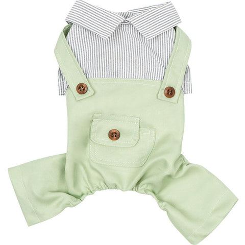 Dungarees and shirt outfit - Pets Villa