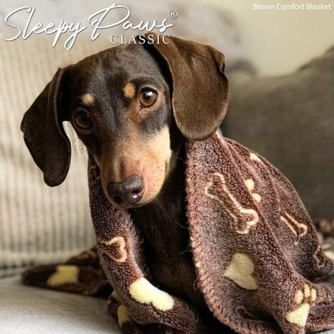Fleece Pet Blanket on Sofa – Furniture Protector & Cozy Layer